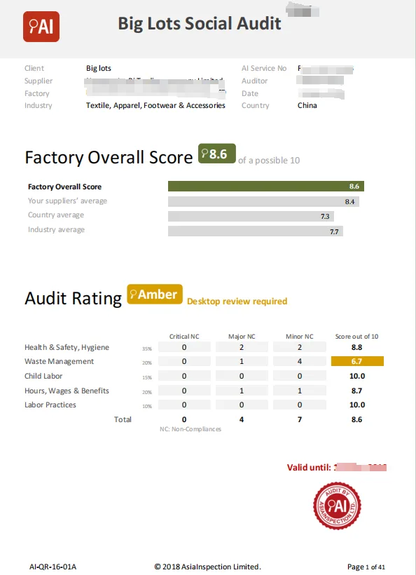 Factory Social Audit