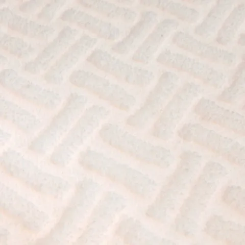 Polyester Coral Fleece